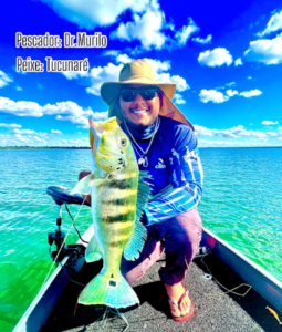 Pacote Big Fish - Imagem 2